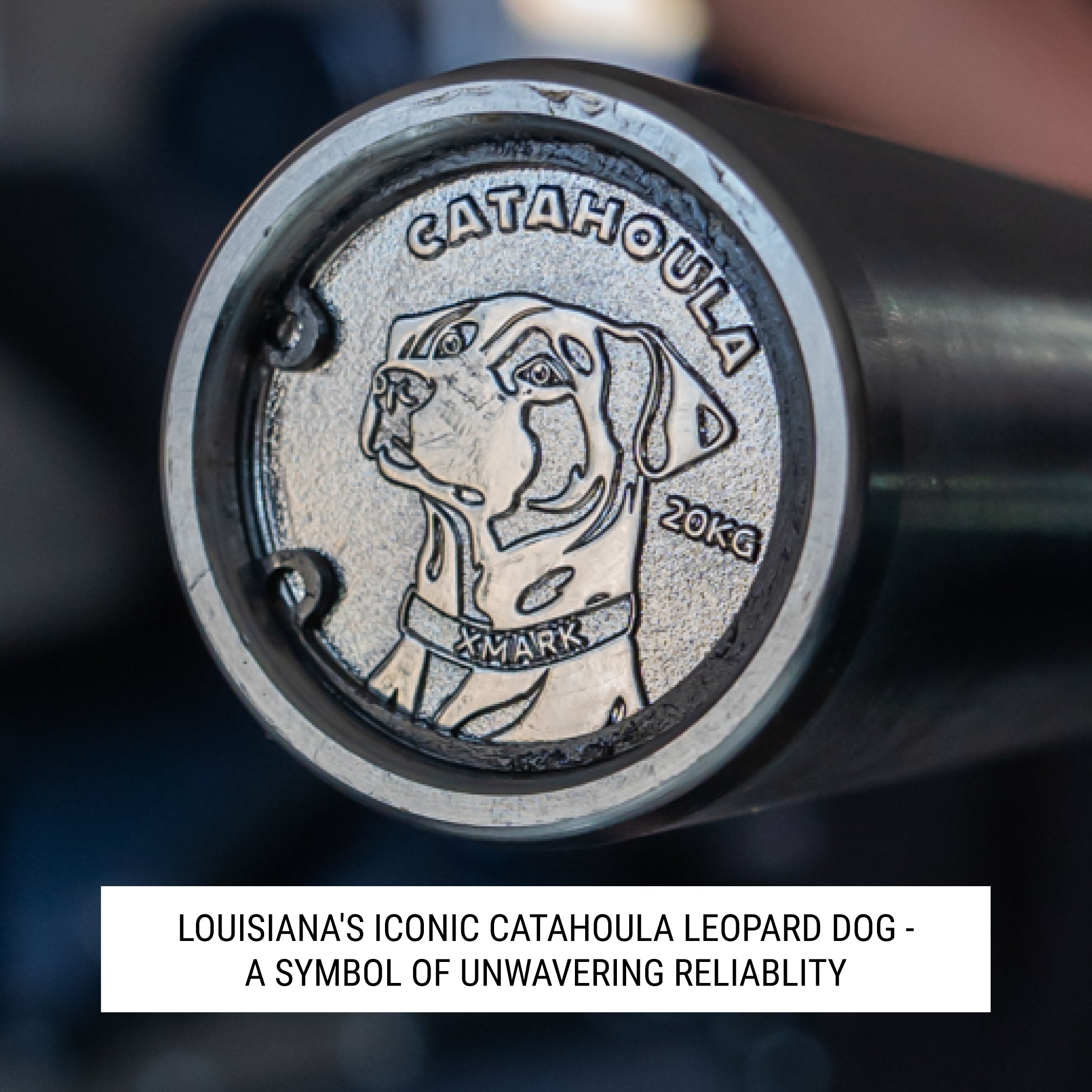 XMARK Catahoula IWF Men's Training Bar, 190,000 PSI, 28mm Grip, US Cerakote